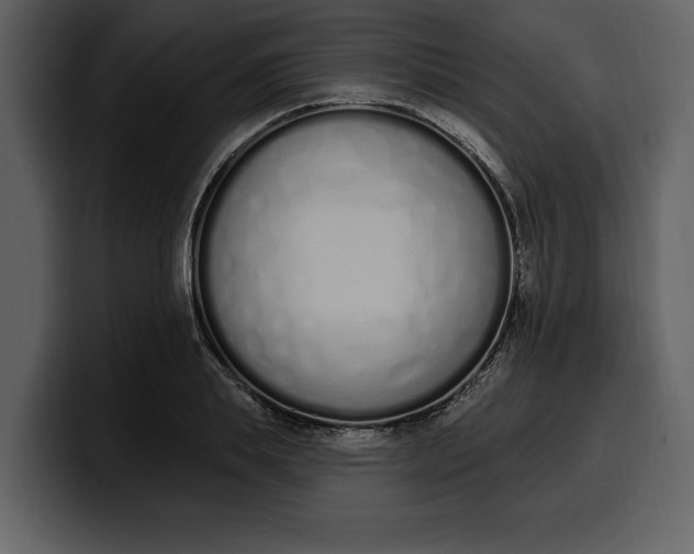 X0000100320839200806191001