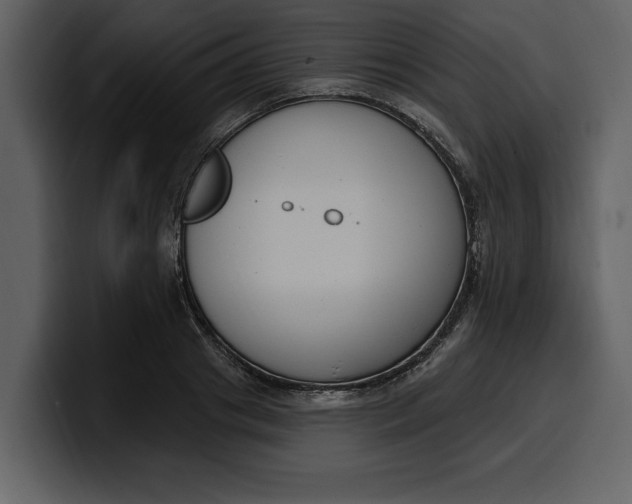 X0000100320841200806191001