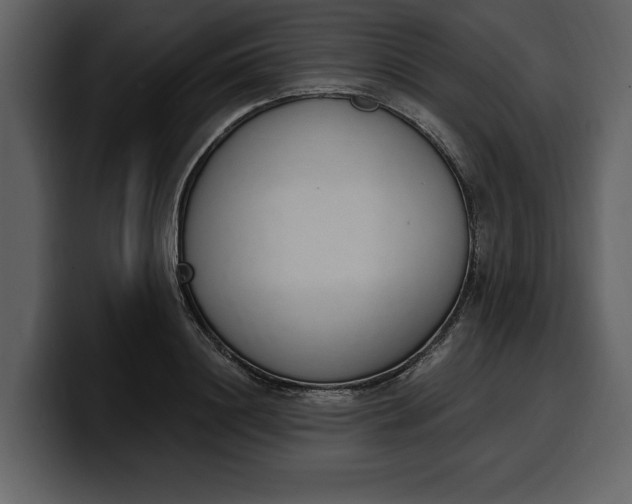 X0000100320844200806191001