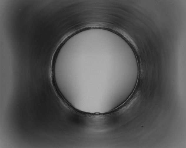 X0000100320845200806191001