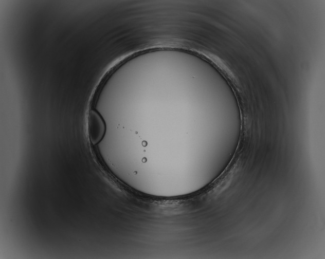 X0000100320846200806191001