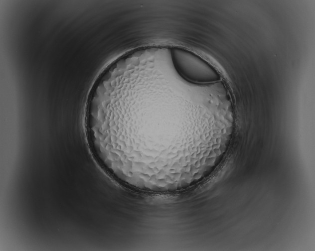 X0000100320847200806191001