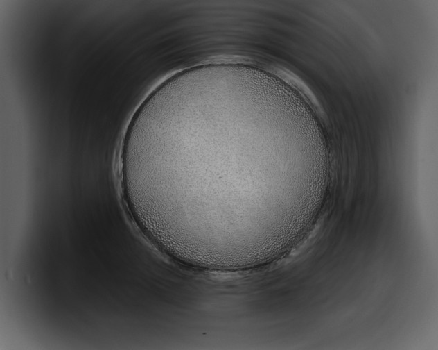 X0000100320852200806191001