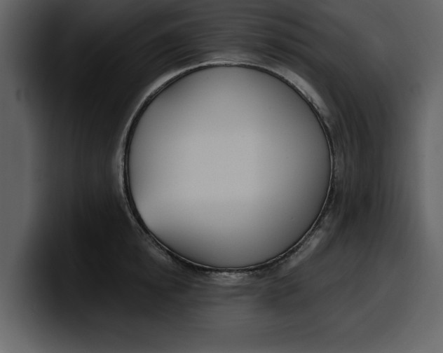 X0000100320854200806191001