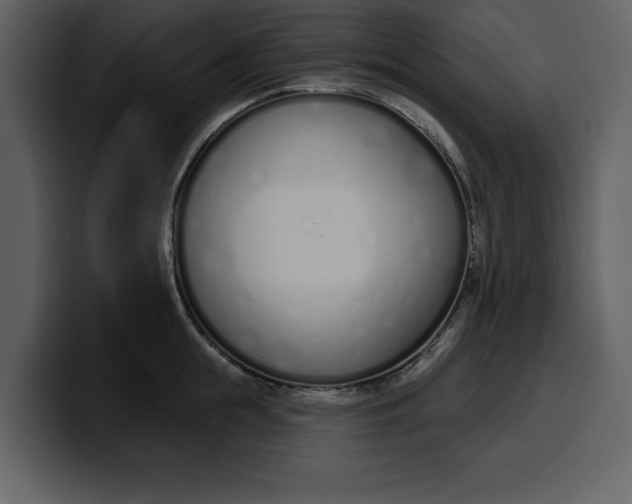 X0000100320855200806191001