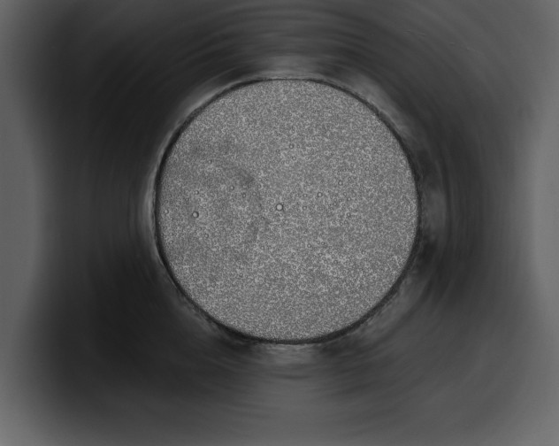 X0000100320856200806191001