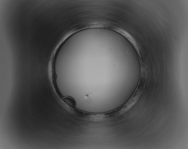 X0000100320859200806191002