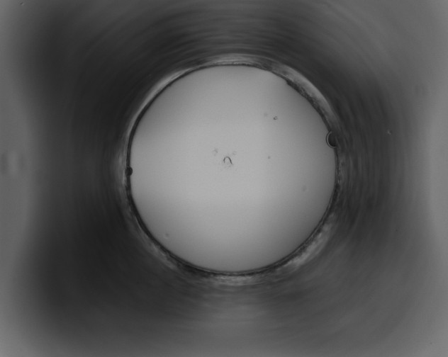 X0000100320860200806191002