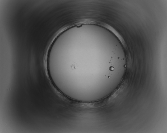 X0000100320861200806191002