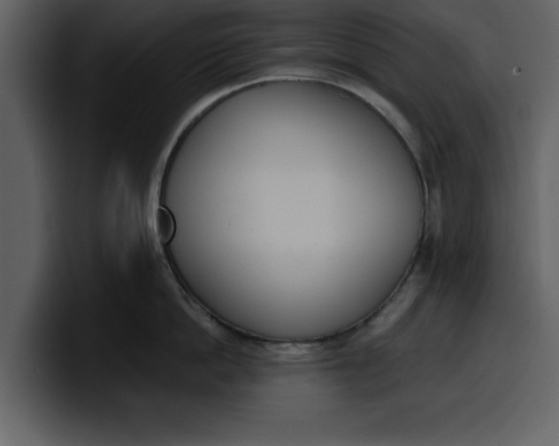 X0000100320862200806191002