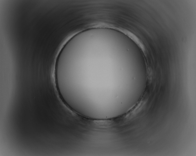 X0000100320863200806191002