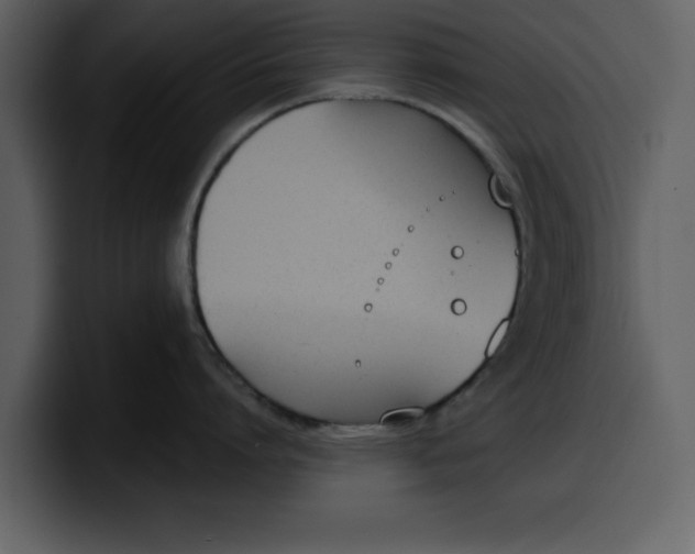 X0000100320864200806191002