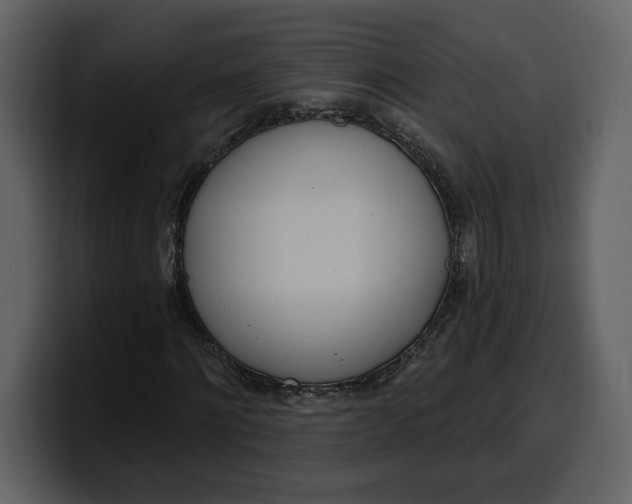 X0000100320868200806191001