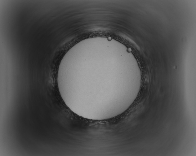 X0000100320869200806191001