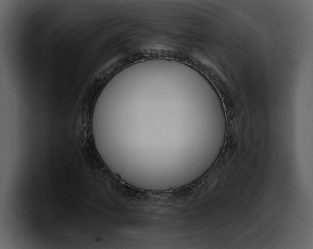 X0000100320870200806191001