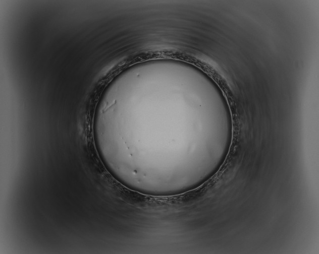 X0000100320871200806191001