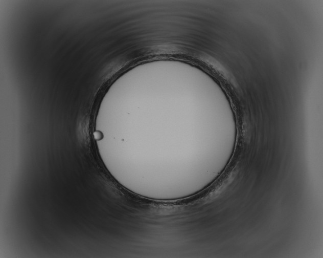 X0000100320873200806191001