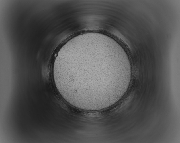 X0000100320874200806191001