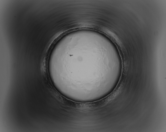 X0000100320875200806191001