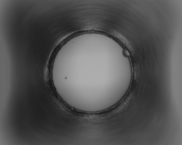 X0000100320876200806191001