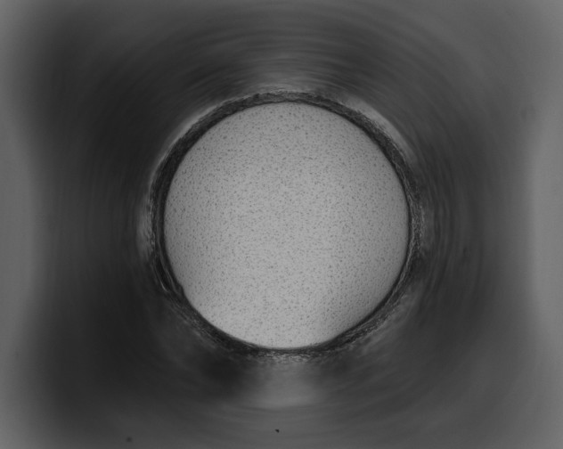 X0000100320878200806191001