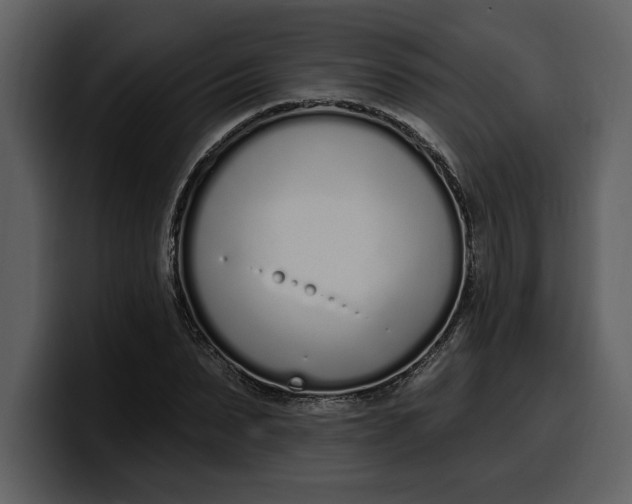 X0000100320879200806191001