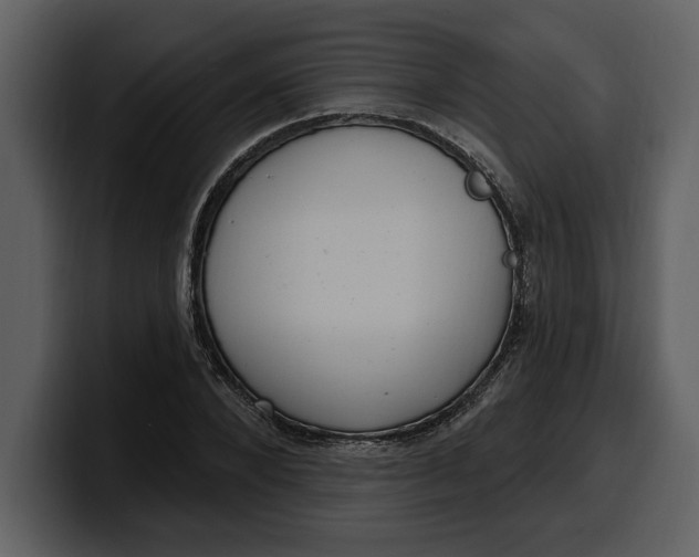 X0000100320880200806191001