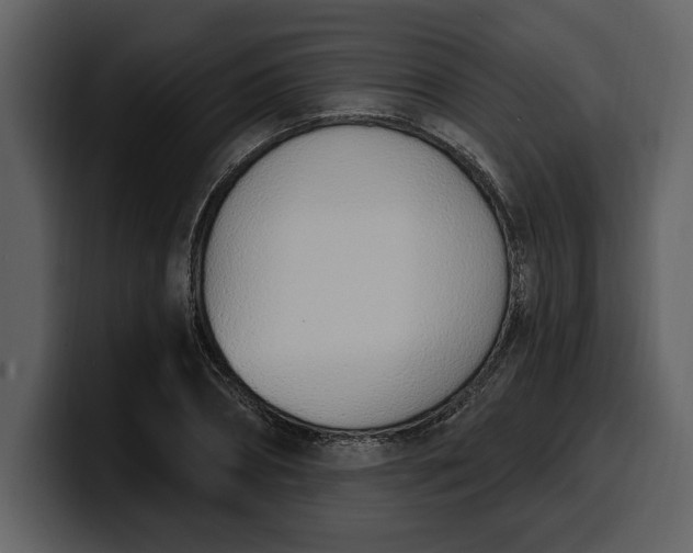 X0000100320882200806191001