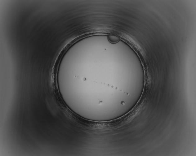 X0000100320883200806191001