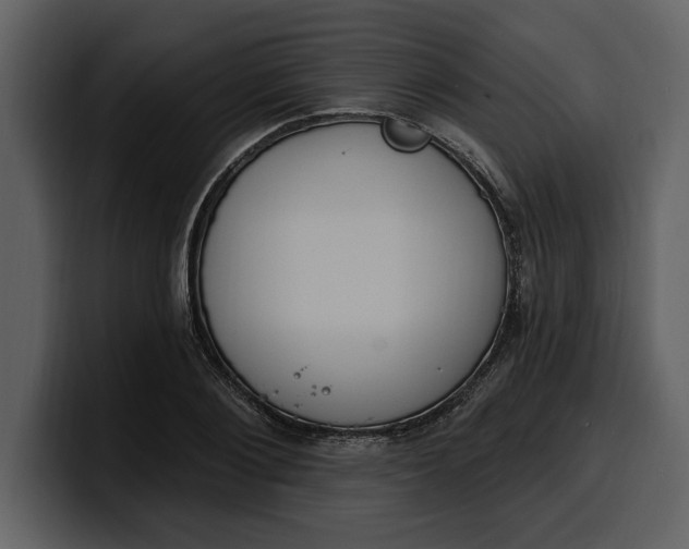 X0000100320884200806191001