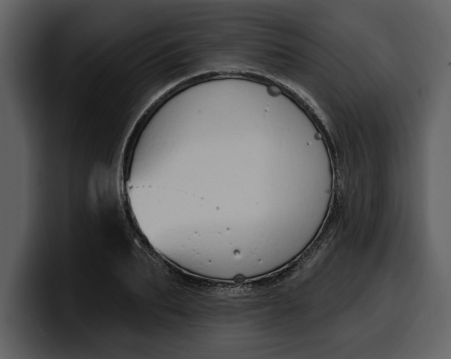 X0000100320887200806191001