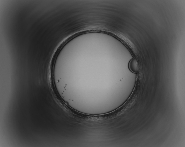 X0000100320888200806191001