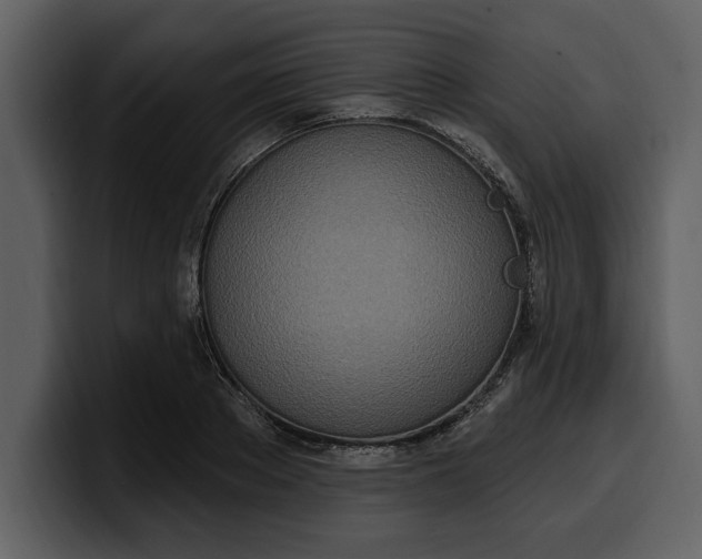 X0000100320889200806191001