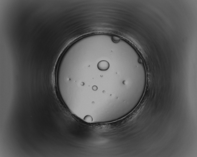 X0000100320891200806191001