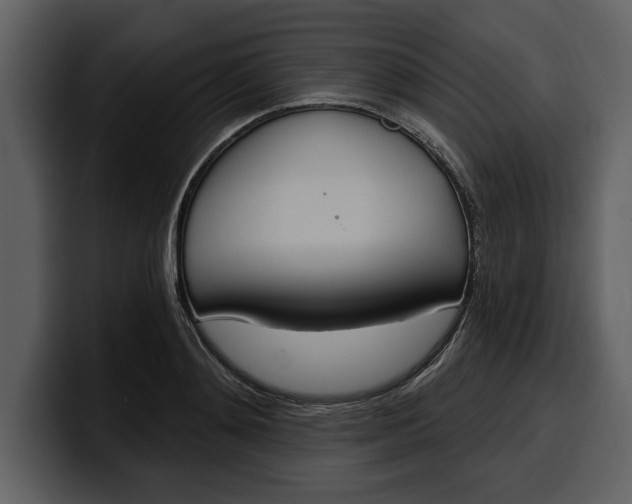 X0000100320892200806191001