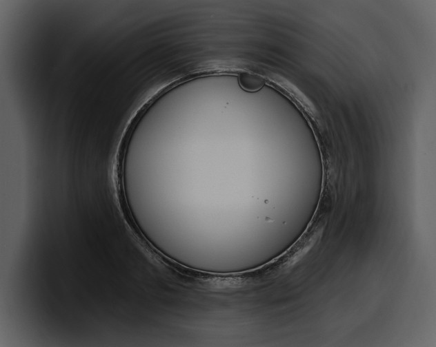 X0000100320893200806191001