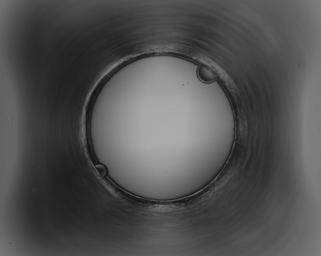 X0000100320894200806191001