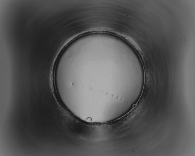 X0000100320895200806191001