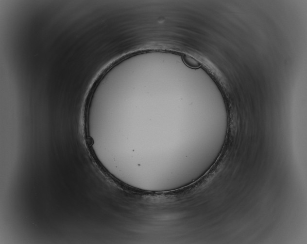 X0000100320896200806191000