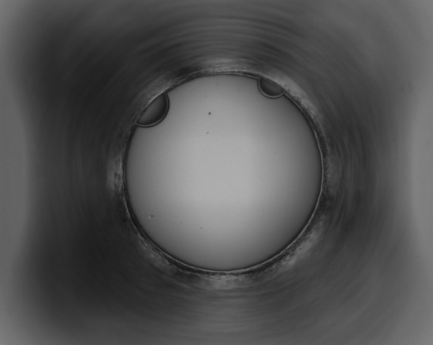 X0000100320897200806191000