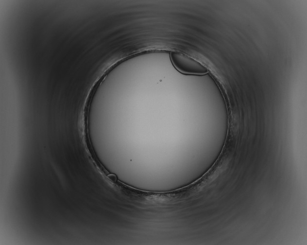 X0000100320898200806191000