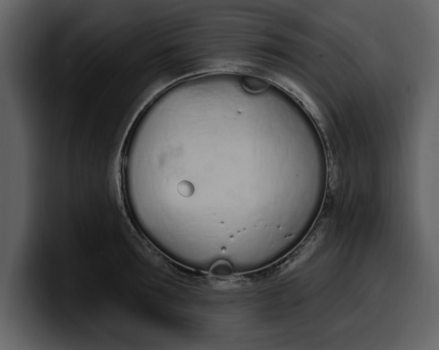 X0000100320899200806191000