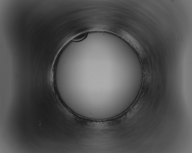 X0000100320900200806191000