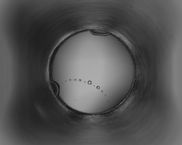 X0000100320902200806191000