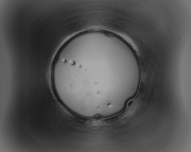 X0000100320903200806191000