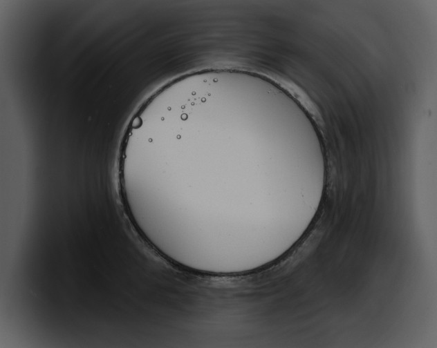 X0000100320904200806191000