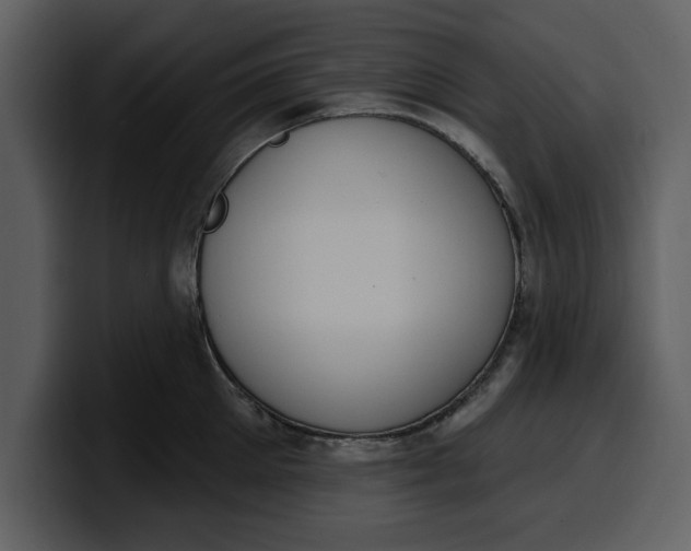 X0000100320905200806191000