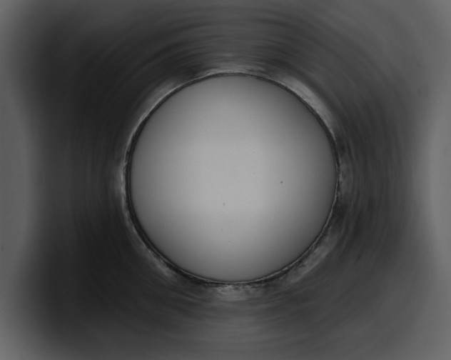 X0000100320906200806191000