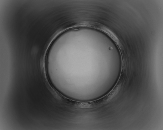 X0000100320907200806191000