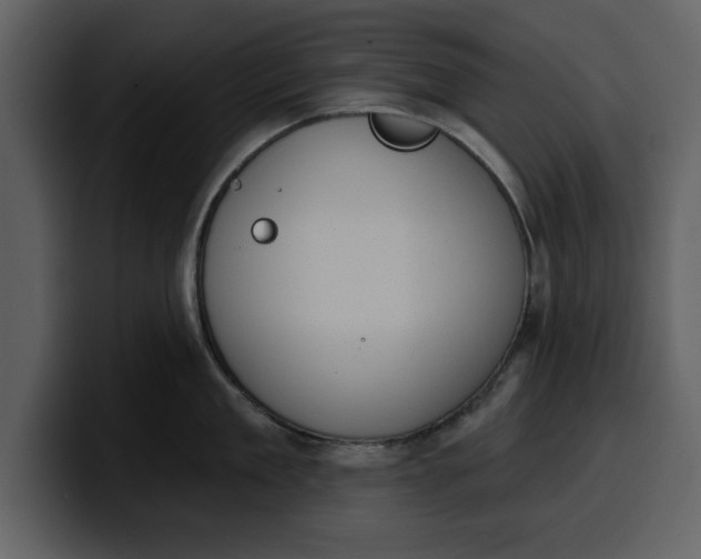 X0000100320909200806191000